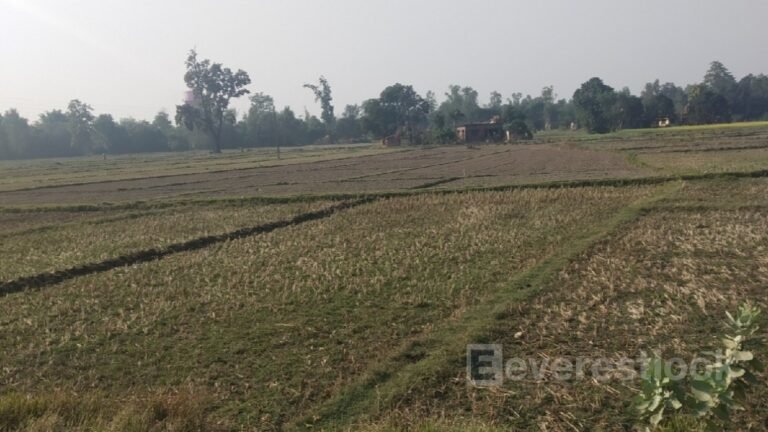 One lakh fine for keeping cultivable land barren for three consecutive years
